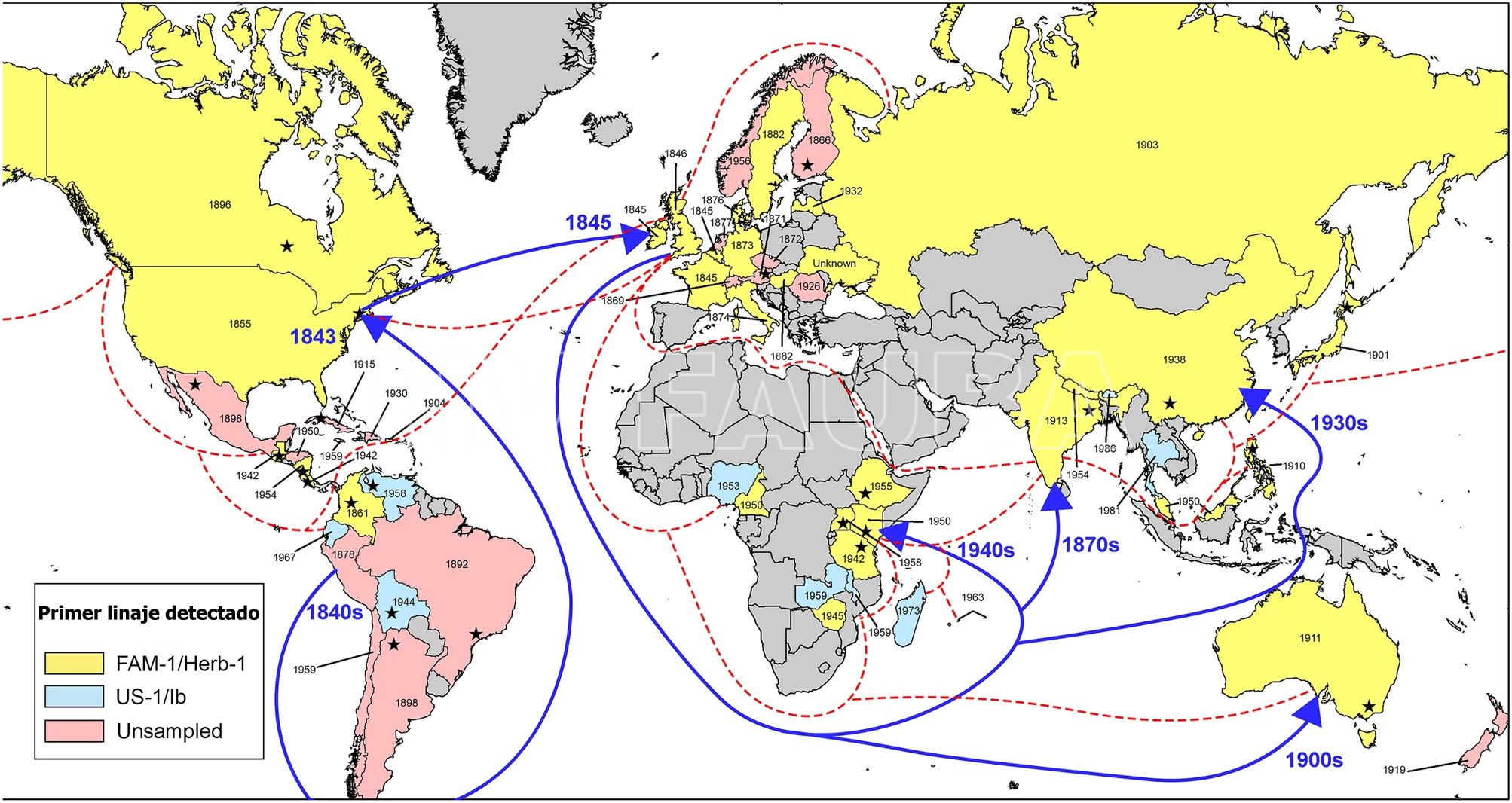 Mapa mundial de las primeras epidemias detectadas de tizón tardío causado por Phytophthora infestans. Los años dentro de cada país indican la fecha del espécimen más antiguo conocido, mientras que el color indica si el genotipo era FAM-1, US-1 o no muestreado. Las líneas punteadas indican rutas comerciales representativas del Imperio Británico alrededor de 1932. Las flechas indican la ruta de migración más probable tomada por el linaje FAM-1 hacia África y Asia y las rutas comerciales. Las estrellas dentro de cada país indican la ubicación aproximada del primer brote registrado, si se conoce. Autor: Saville y Ristaino, 2021.