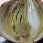 04 Podredumbre blanda bacteriana de la cebolla