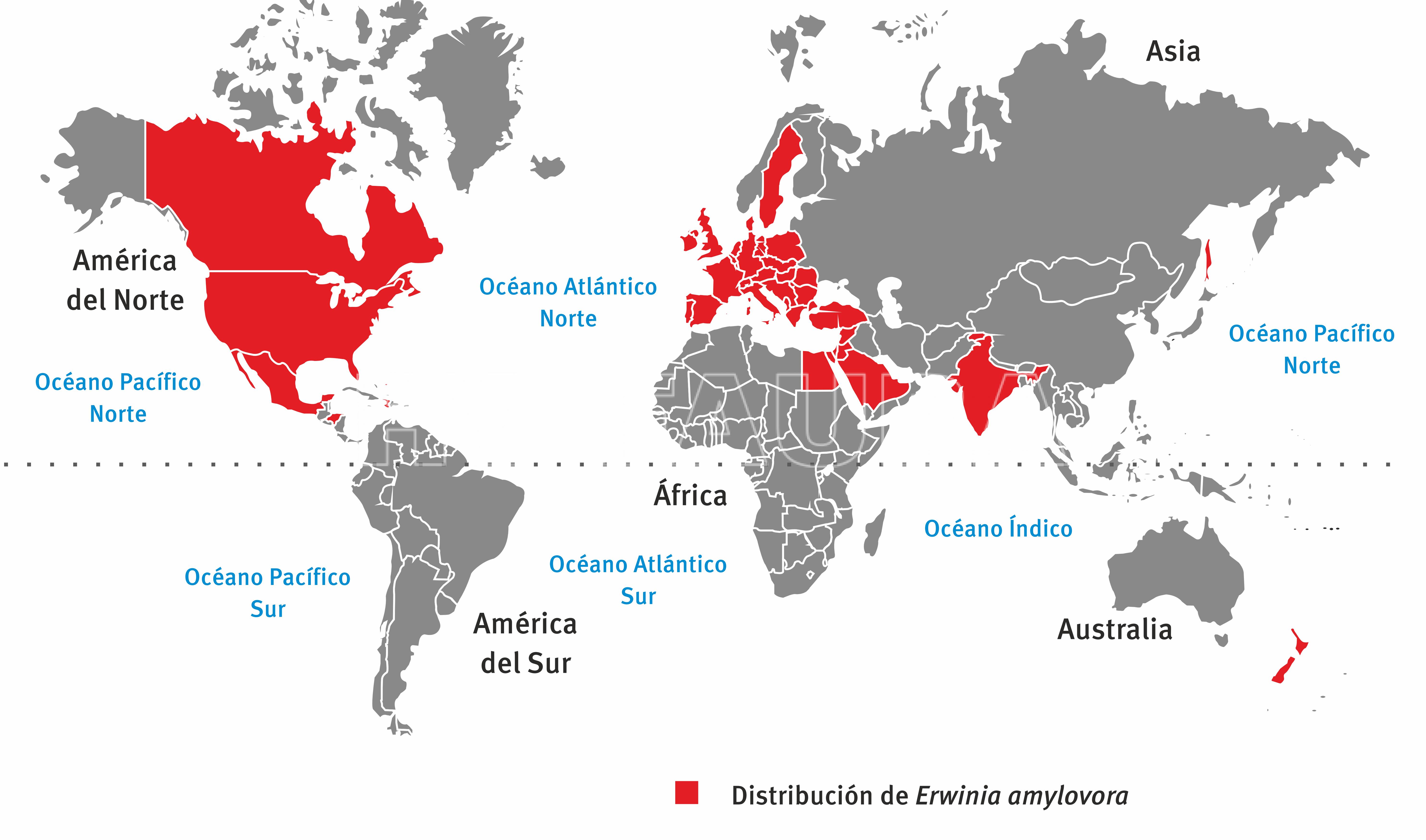 Distribucion mundial de E. amylovora. Fuente: Rossini et al., 2013