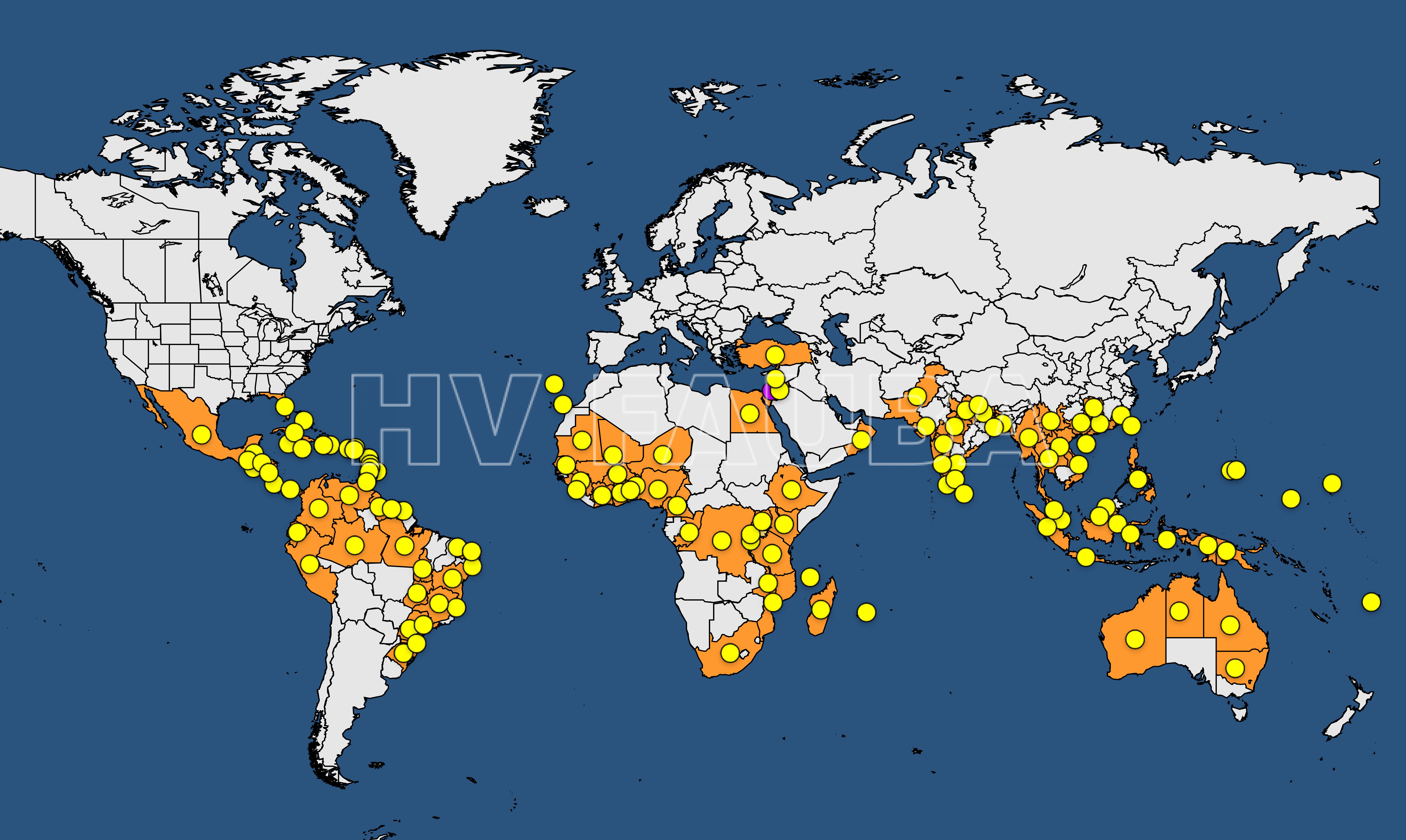 Mapa de la distribución mundial de la marchitez del banano por Fusarium. Fuente: EPPO; https://gd.eppo.int/taxon/FUSACB.