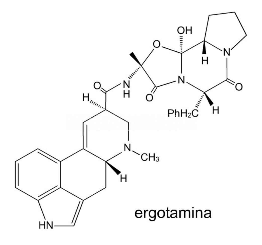 Ergotamina2